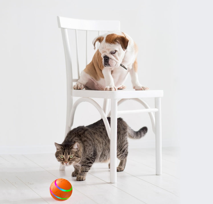 USB Automatic Rotating Cat Toy Ball